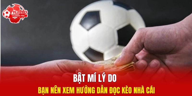 Bật mí lý do bạn nên xem hướng dẫn đọc kèo nhà cái
