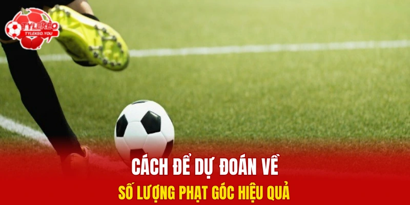 Cách để dự đoán về số lượng phạt góc hiệu quả 
