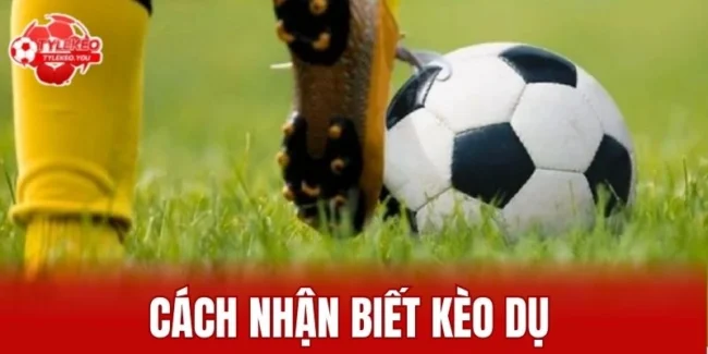 cách nhận biết kèo dụ