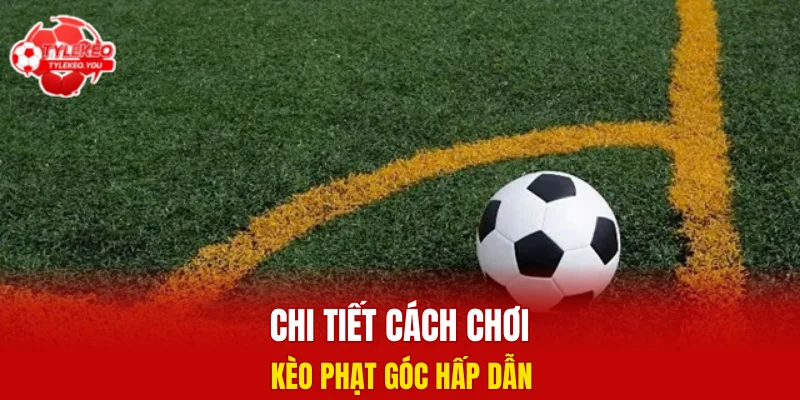 Chi tiết cách chơi kèo phạt góc hấp dẫn