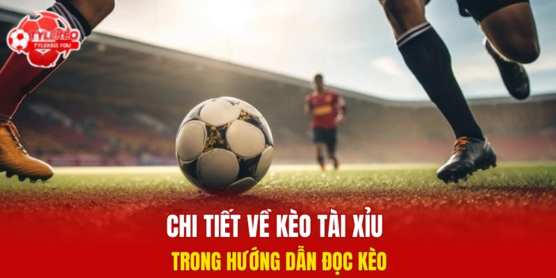 Chi tiết về kèo tài xỉu trong hướng dẫn đọc kèo