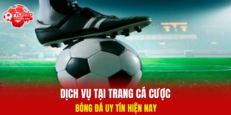 Dịch vụ tại trang cá cược bóng đá uy tín hiện nay
