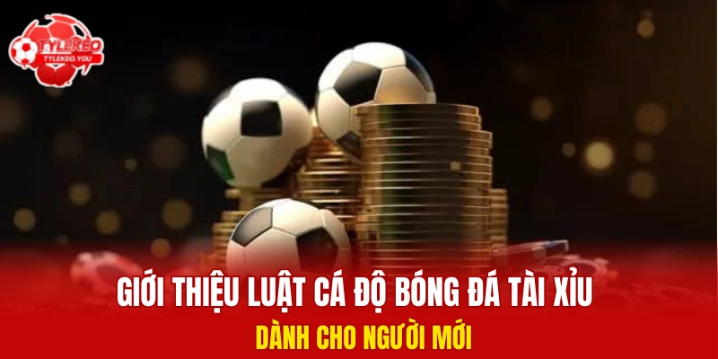 Giới thiệu luật cá độ bóng đá tài xỉu dành cho người mới