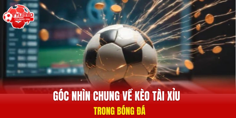 Góc nhìn chung về kèo tài xỉu trong bóng đá