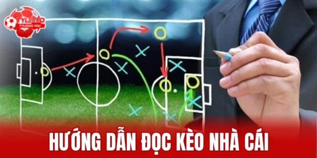Hướng dẫn đọc kèo nhà cái