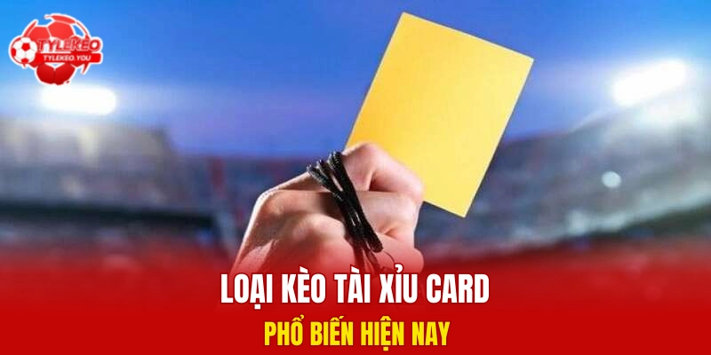Loại kèo tài xỉu card phổ biến hiện nay