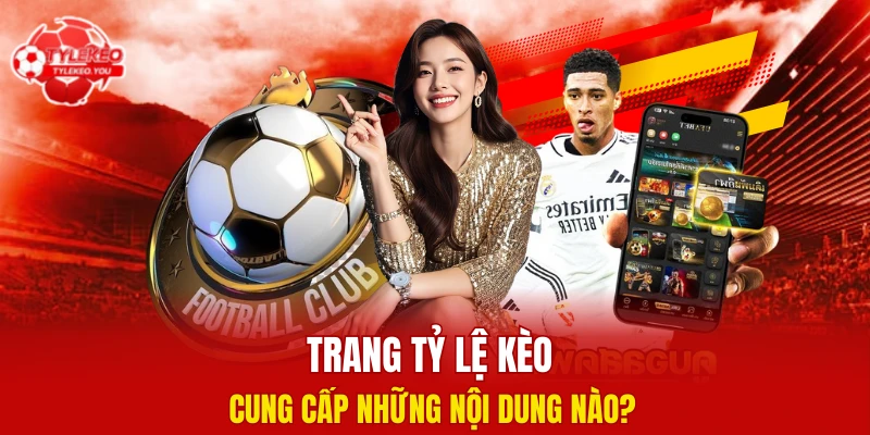Chuyên trang bố trí những danh mục nào?