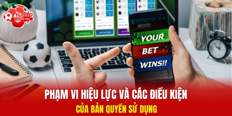 Phạm vi hiệu lực và các điều kiện của bản quyền sử dụng