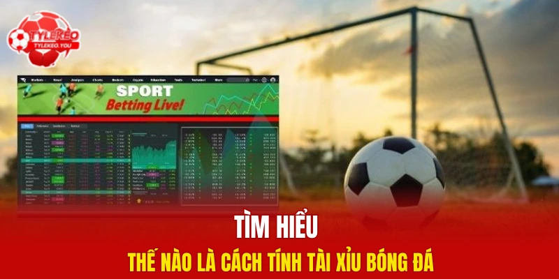 Tìm hiểu thế nào là cách tính tài xỉu bóng đá