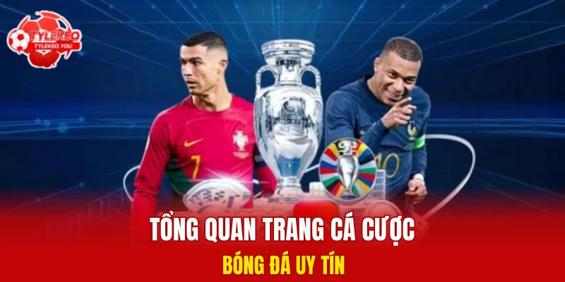 Tổng quan trang cá cược bóng đá uy tín