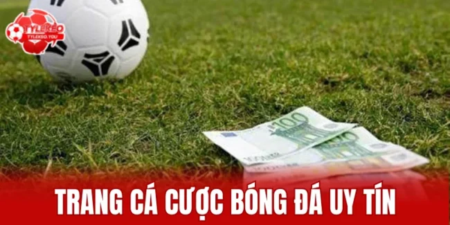 trang cá cược bóng đá uy tín