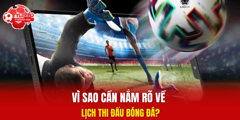 Vì sao cần nắm rõ về lịch thi đấu bóng đá?